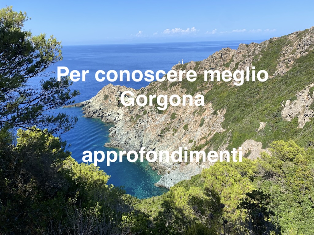 Gorgona, approfondimenti